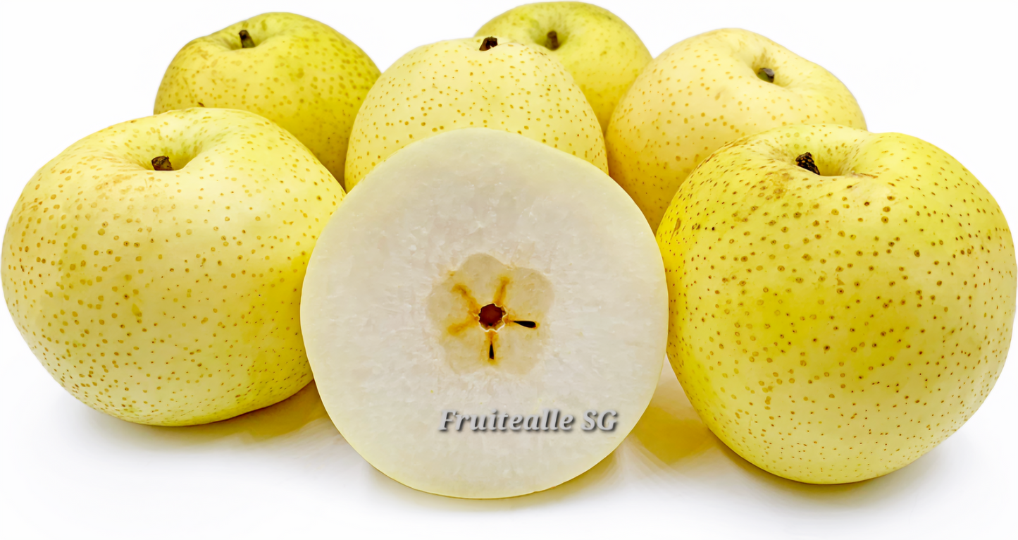 Pear - Golden Pear 黄金水梨