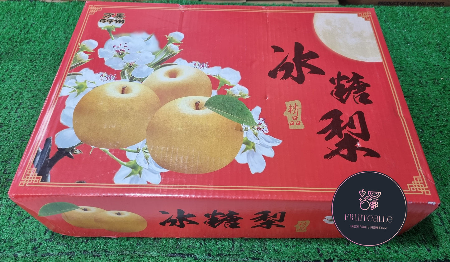 Pear - Bing Tang Honey Pear 冰糖梨 | Size M (Korea Variety)