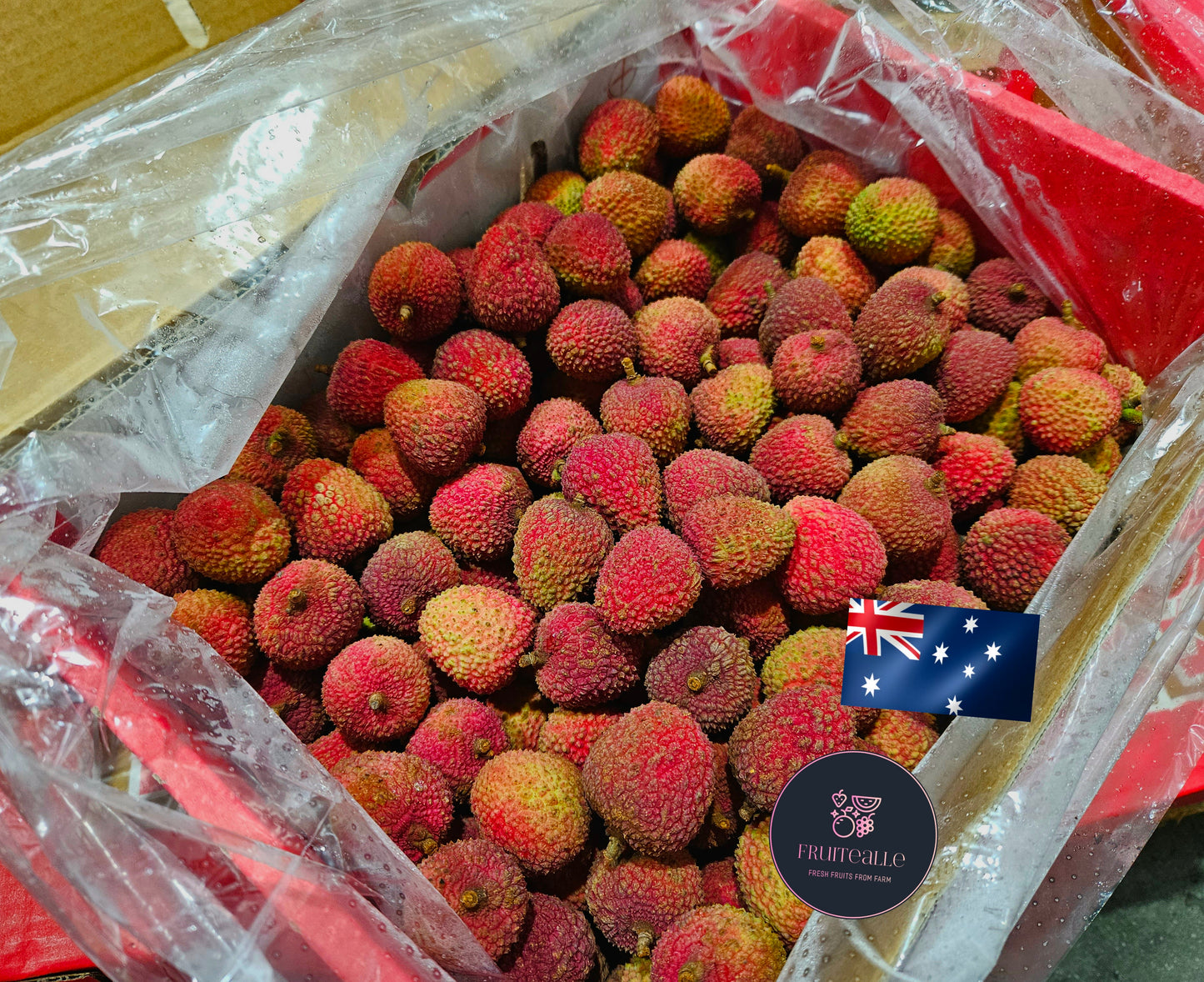 Lychee - Fay Zee Siu Sweet Litchi/ Lychee from Australia