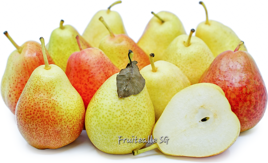 Pear Forelle Blush Pear Fruitealle Pte Ltd 