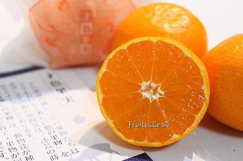 Japan Mikan 蜜柑 - Satsuma Wakayama Mikan みかん (Gift Box)