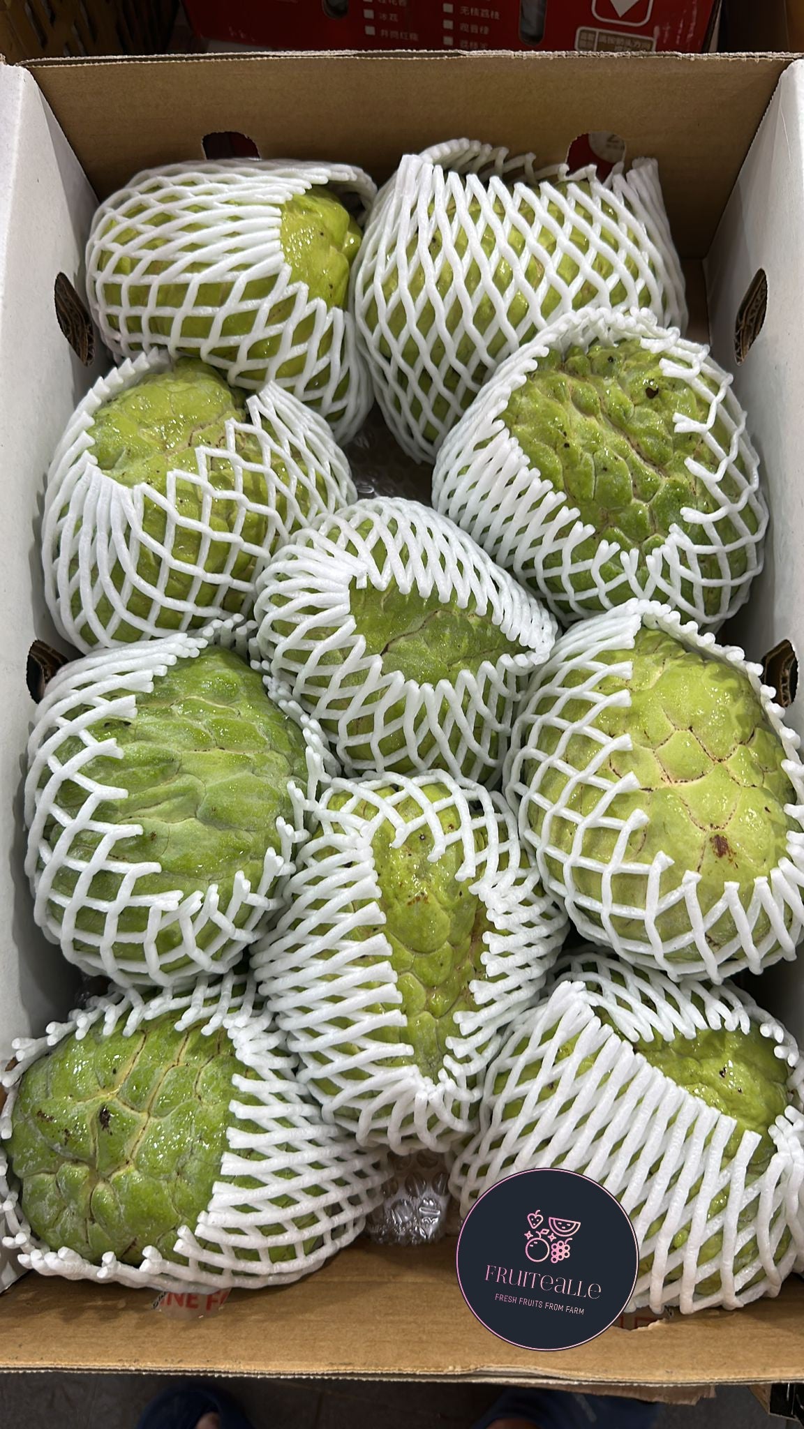 Custard Apple - Australia | Regular Size