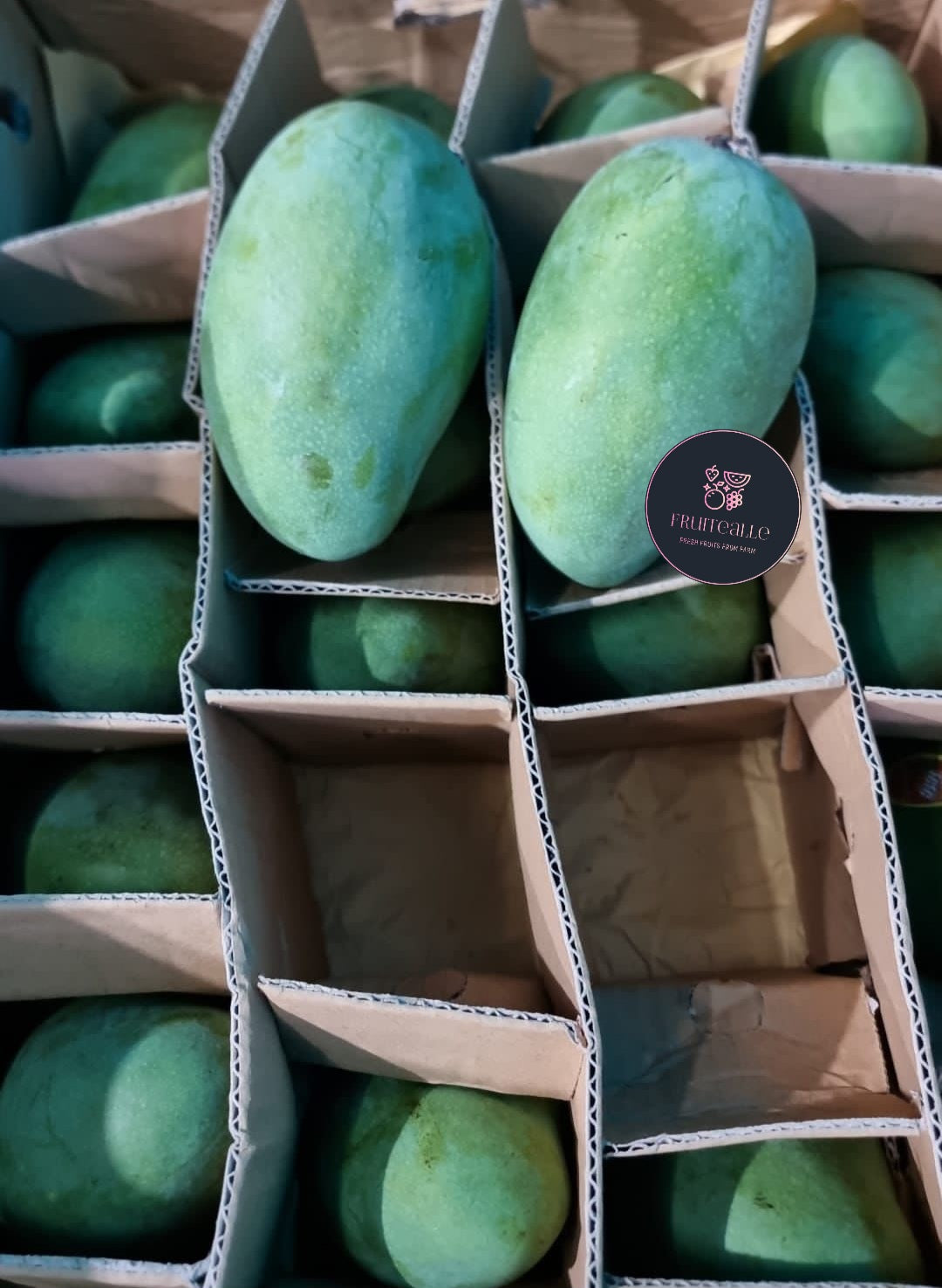 Mango - Indonesia Harumanis Sweet Honey Mango