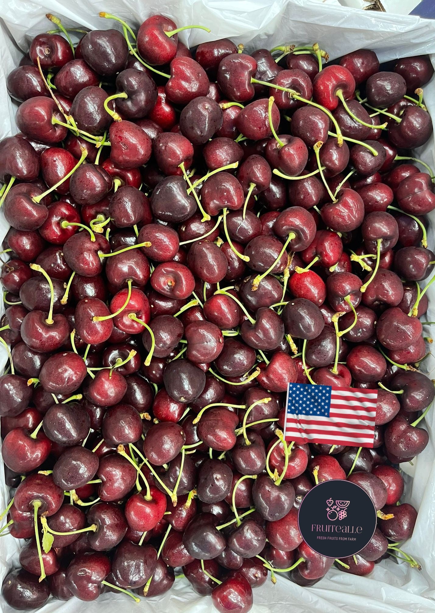 Cherry - USA Red Cherries | CMI Orchard【28mm - 30mm】Regular 9.5R