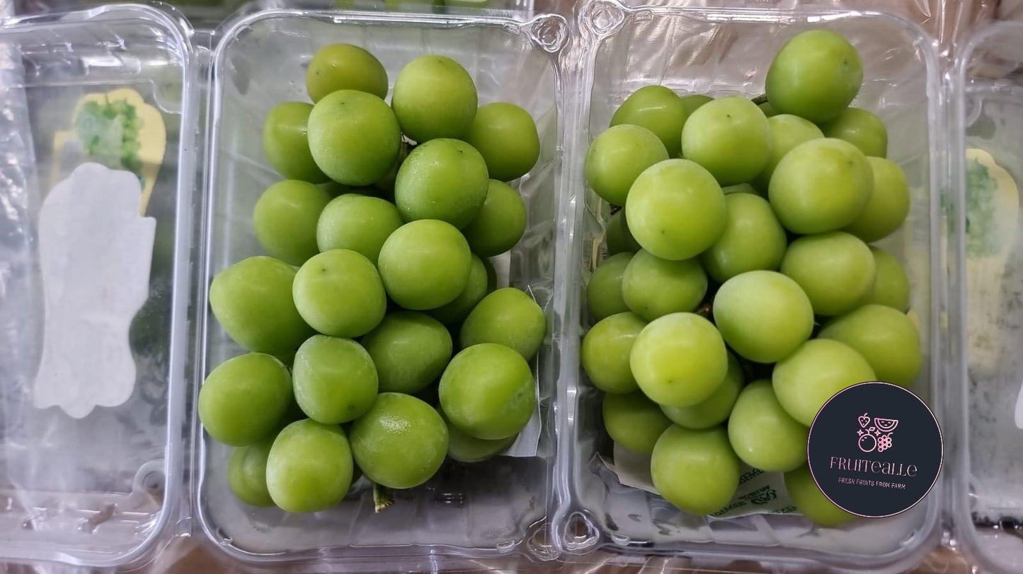 Grapes - Prestige Shine Muscat 【500gm】