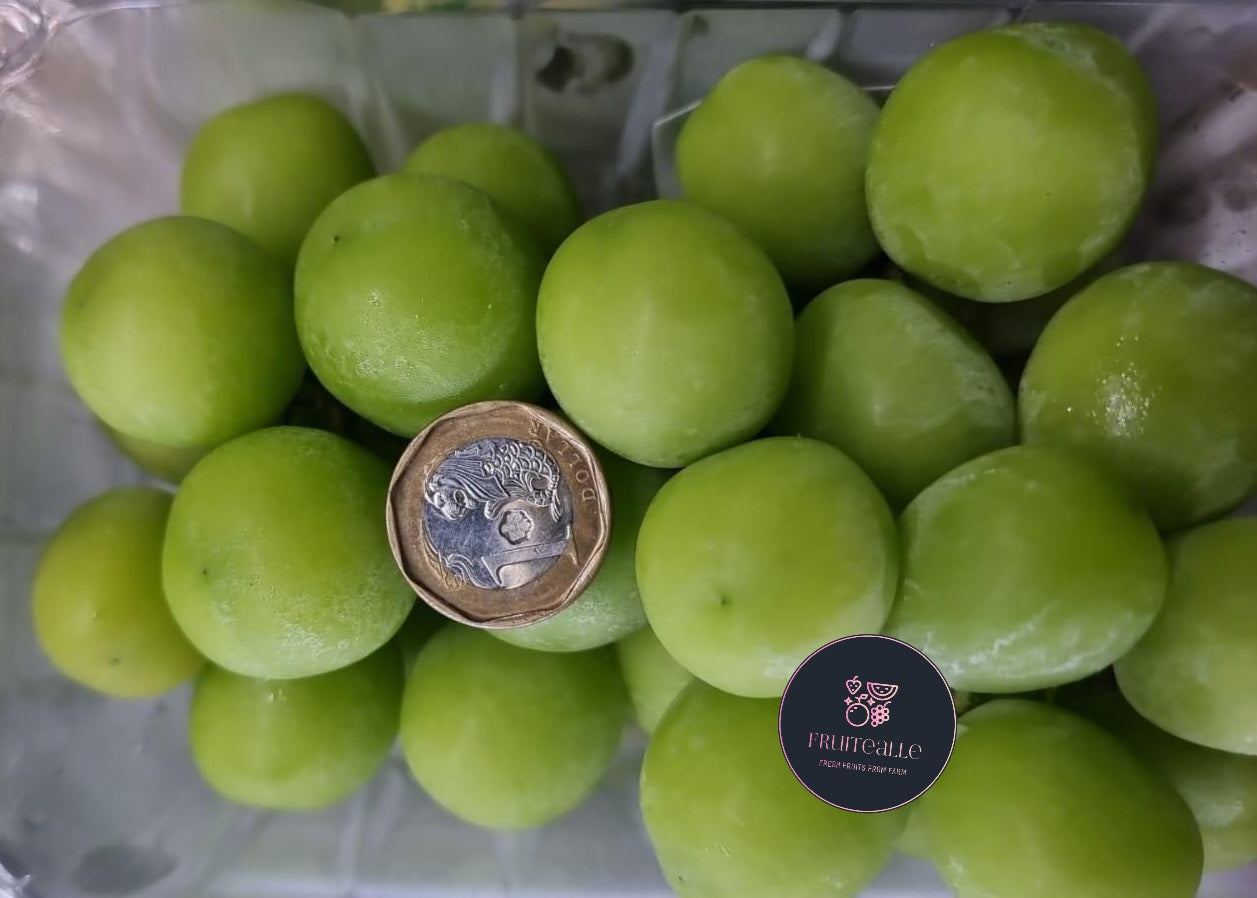 Grapes - Prestige Shine Muscat 【500gm】