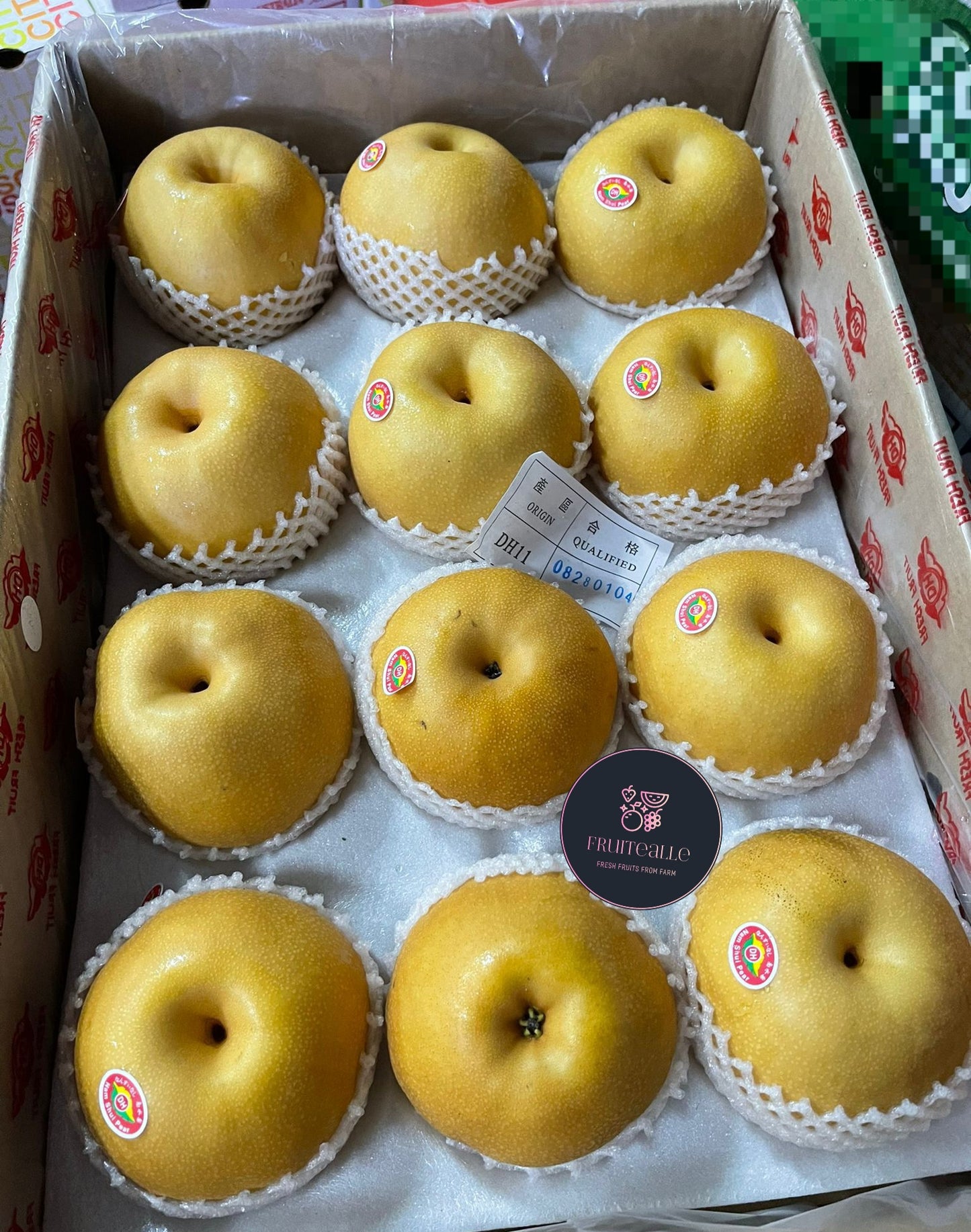 Pear - Nam Shui Pear 南水梨