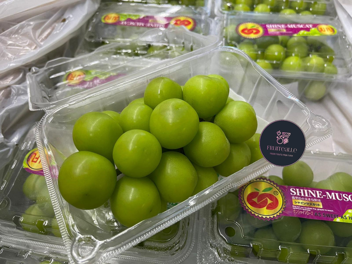 Grapes - Prestige Shine Muscat 【500gm】