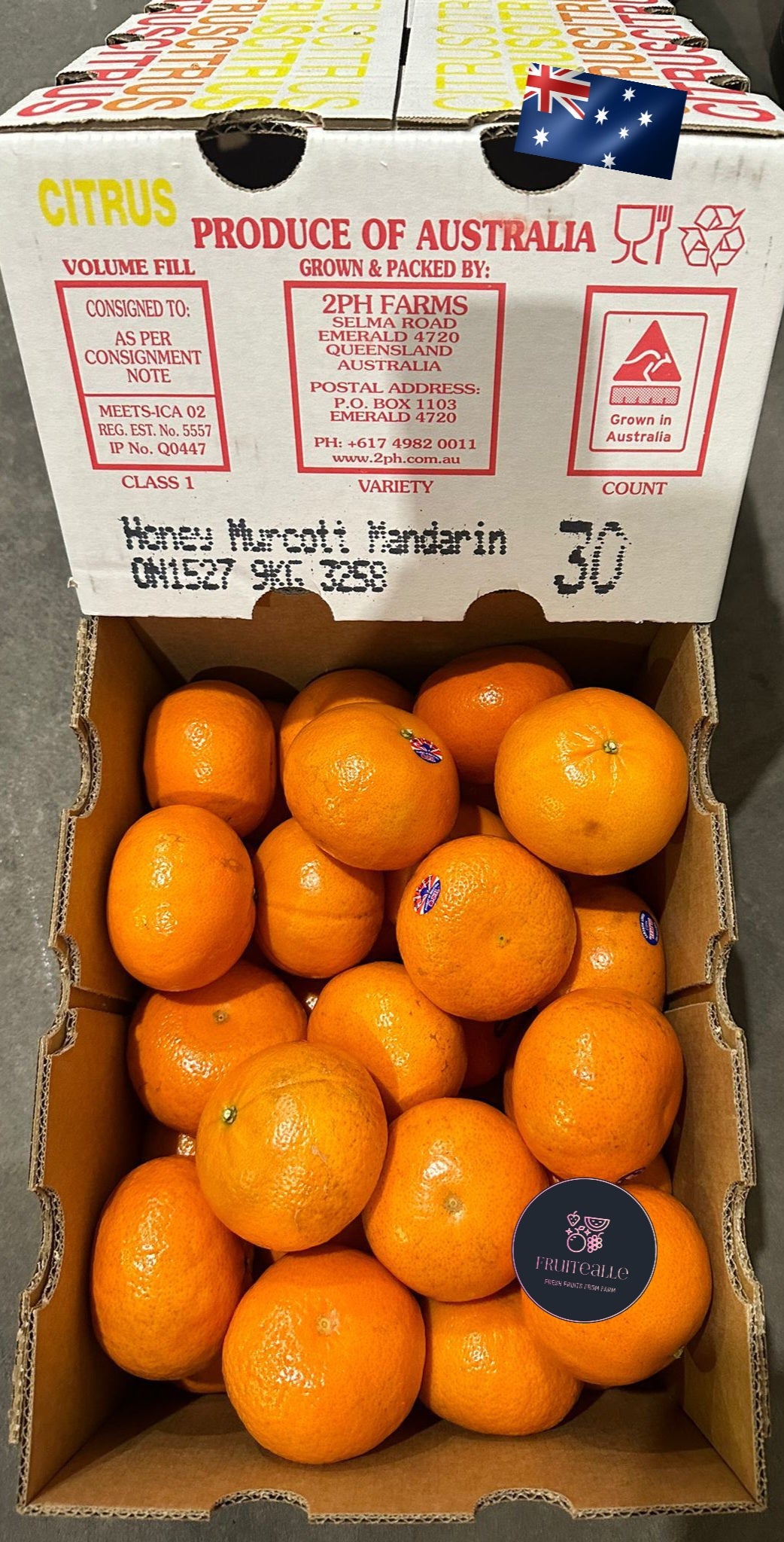 Oranges - Honey Murcott Oranges | 2PH Orchard