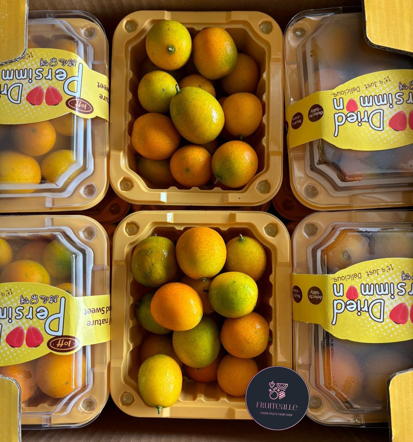 Orange - Kumquat Orange 金桔