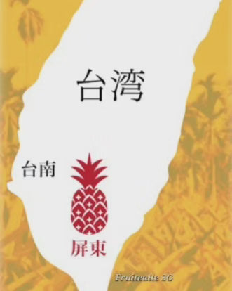 Pineapple - Dole Taiwan Mango Honey Pineapple | 台灣芒果鳳梨