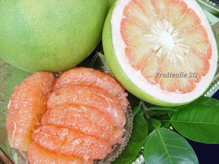 Pomelo - Dole Thailand ThongDee Light Pink Pomelo