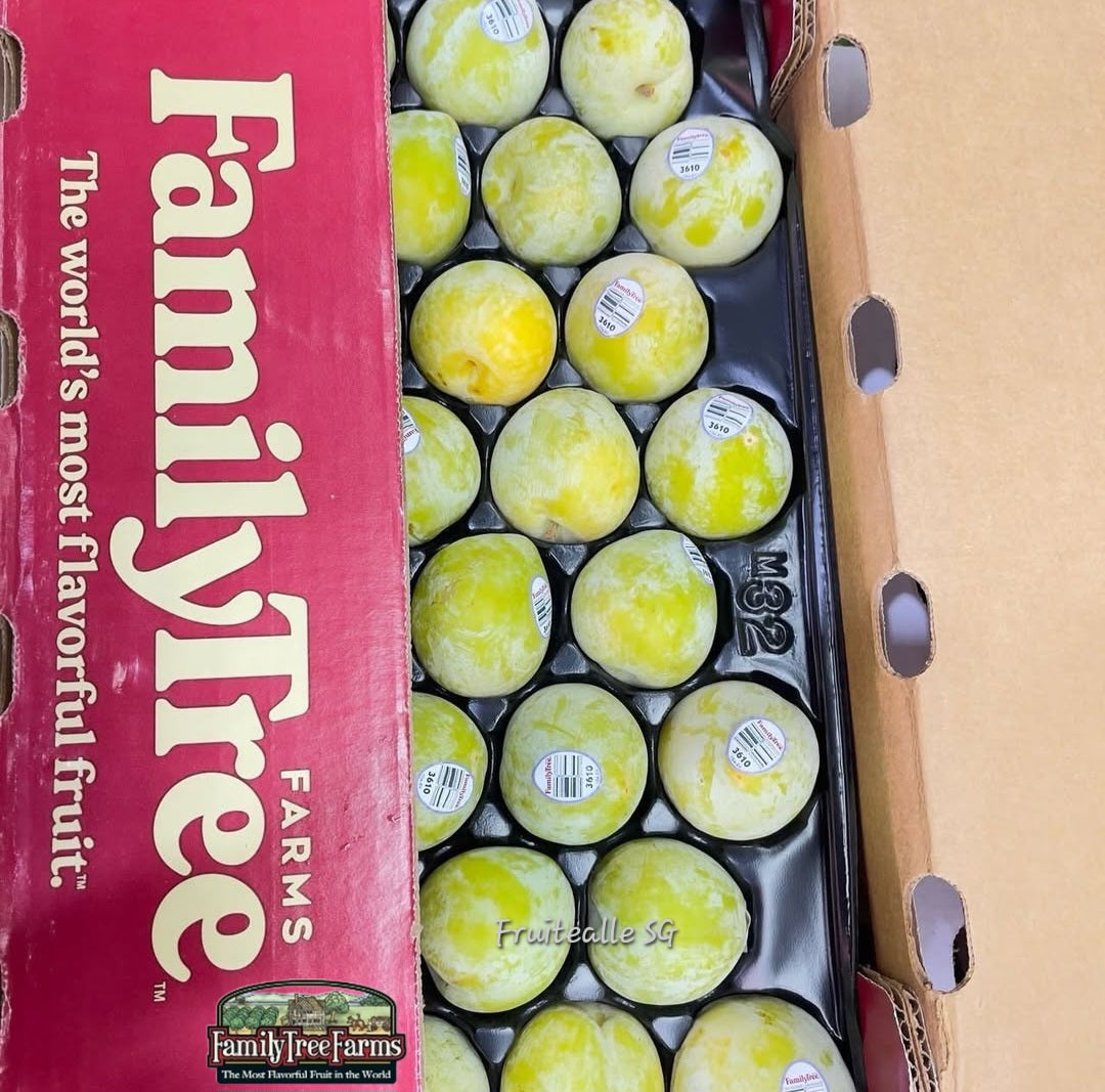 Plum - Emerald Beaut Sweet Plum | USA