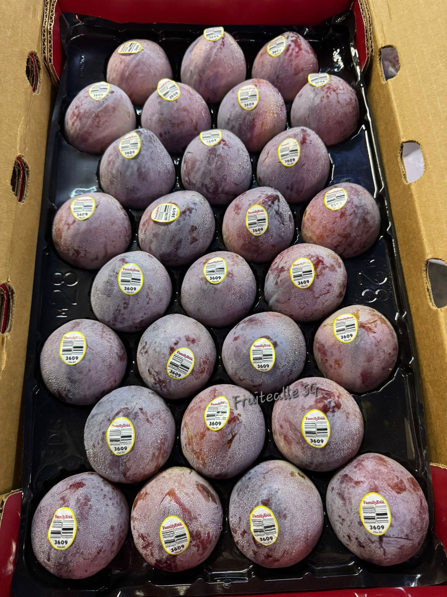 Plum - USA Flavor Fall Interspecific™ Plum | Family Tree Orchards