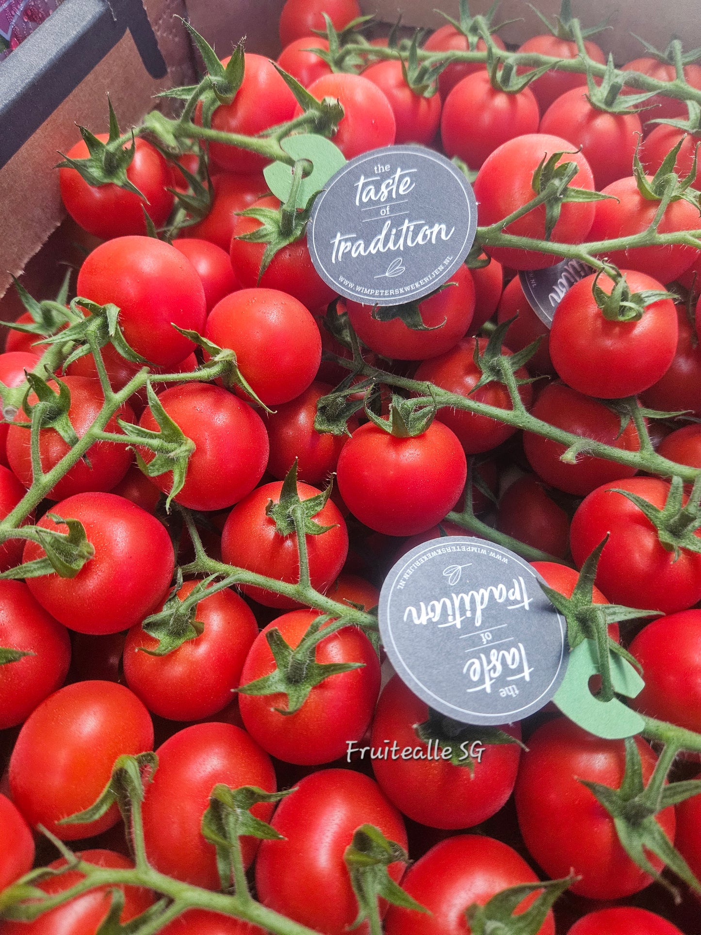 Tomato - Cherry Tomato on Vine | From Holland