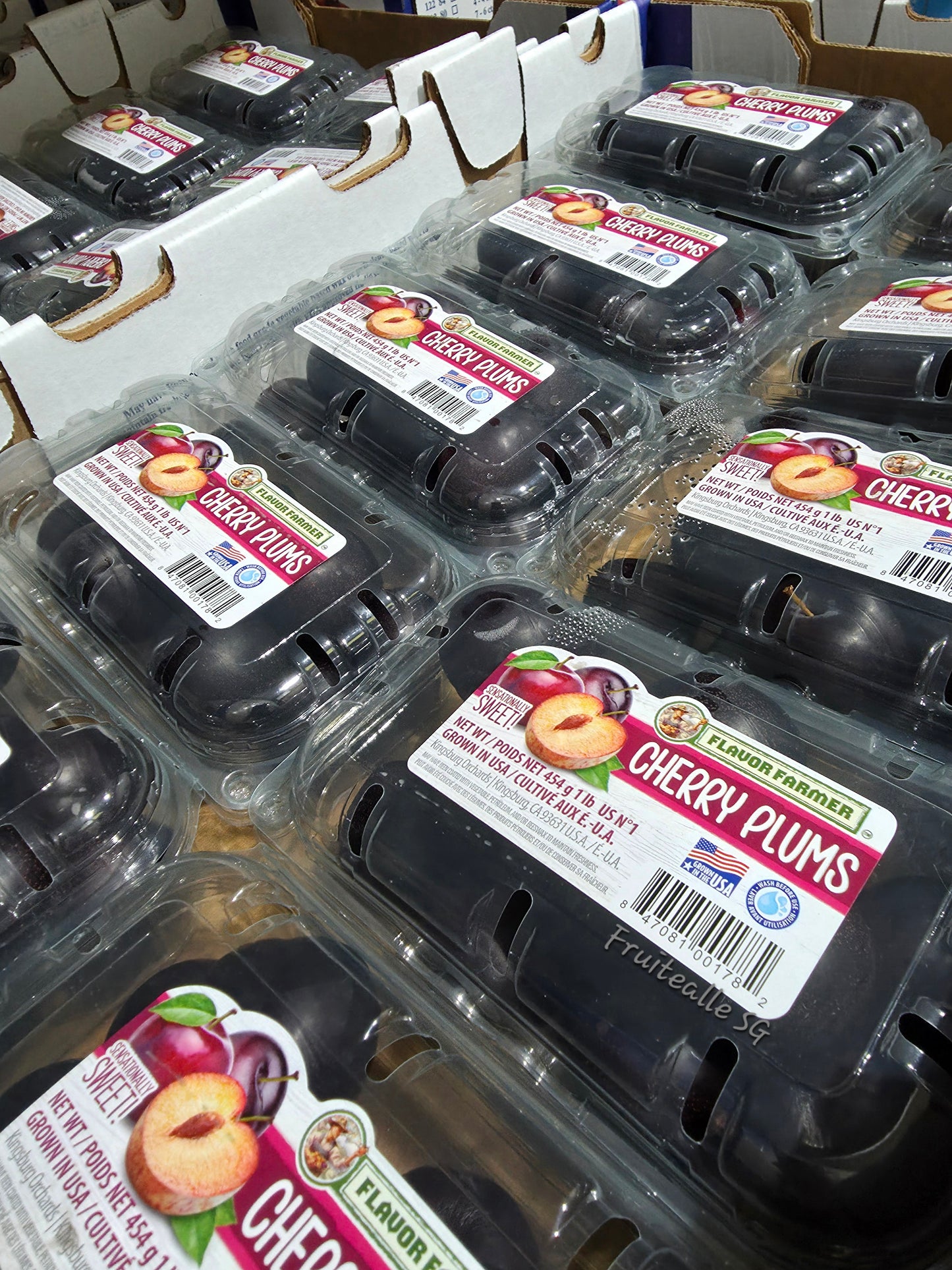 Plum - Sweet Cherry Plums | USA