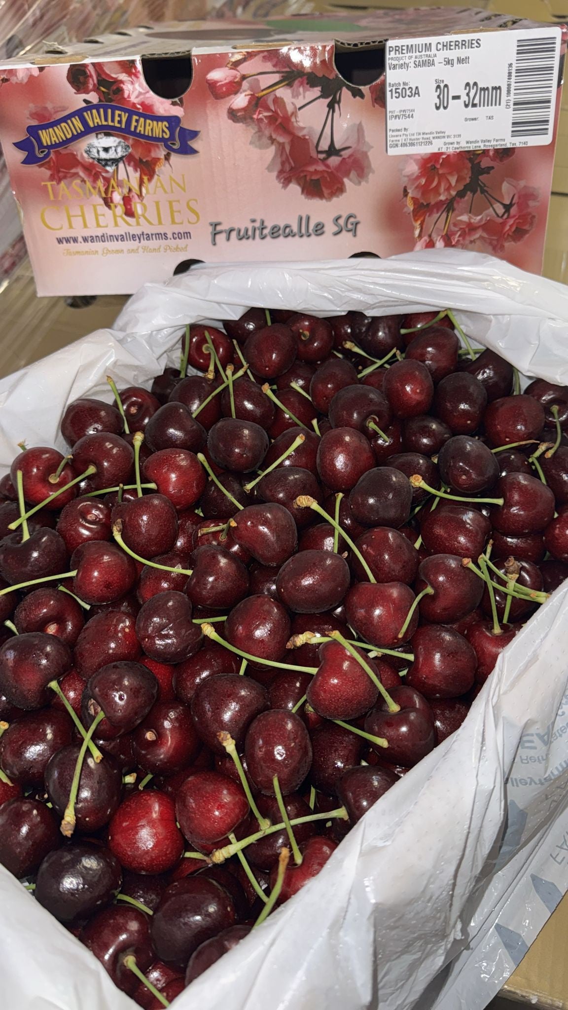 Cherry - Tasmania Premium Red Cherries | Wandin Valley | Medium Large 30/32mm