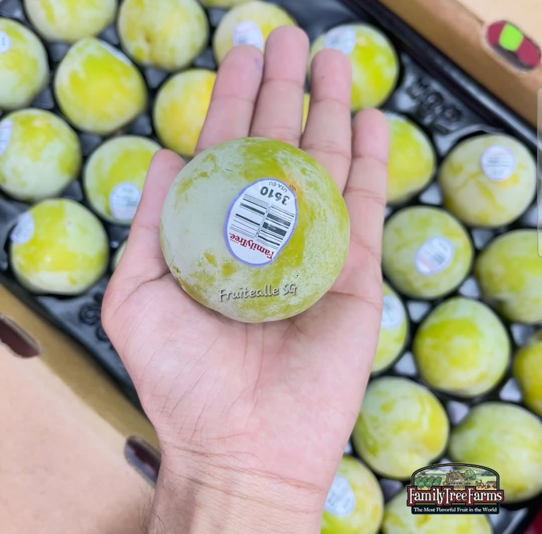 Plum - Emerald Beaut Sweet Plum | USA