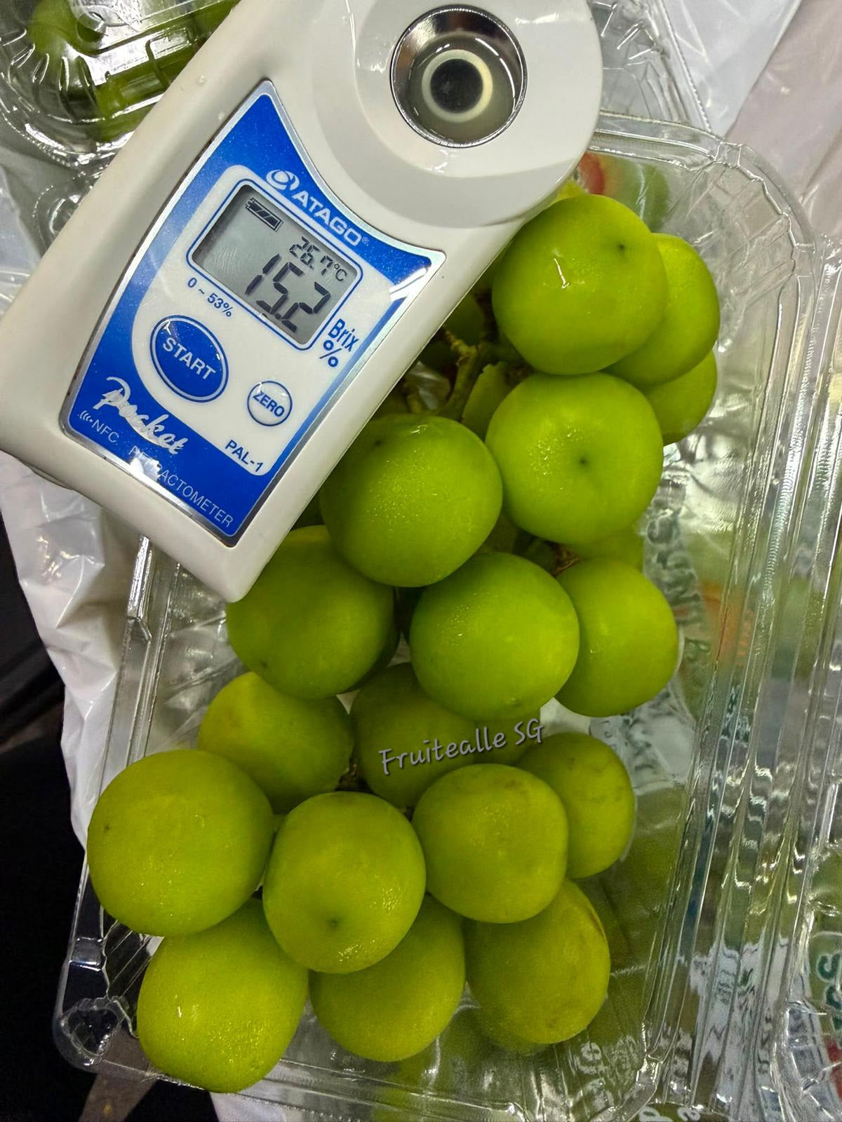 Grapes - Prestige Shine Muscat | 500gm