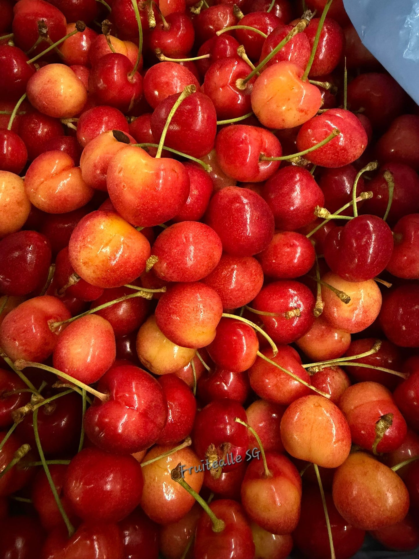 Cherry - USA Rainier White Cherries | CMI Orchard【28mm - 30mm】Regular Size 9.5R