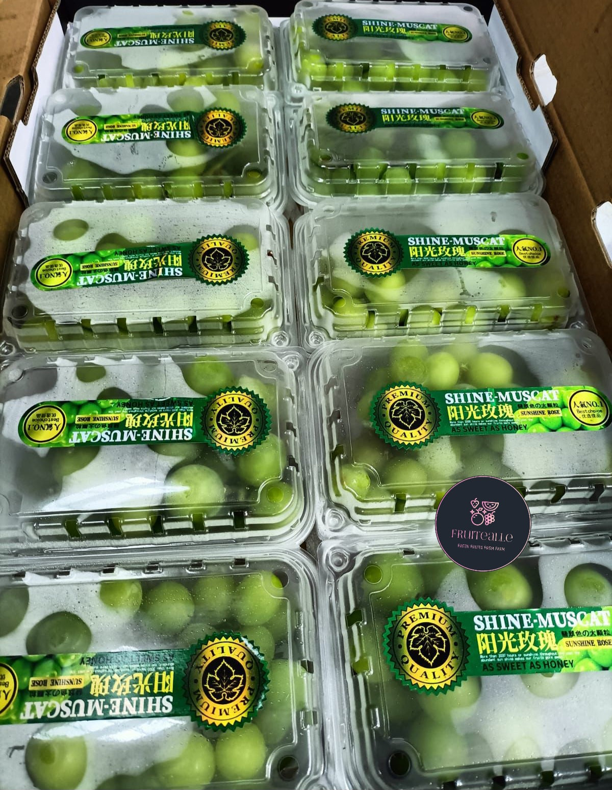 Grapes - Prestige Shine Muscat 【500gm】