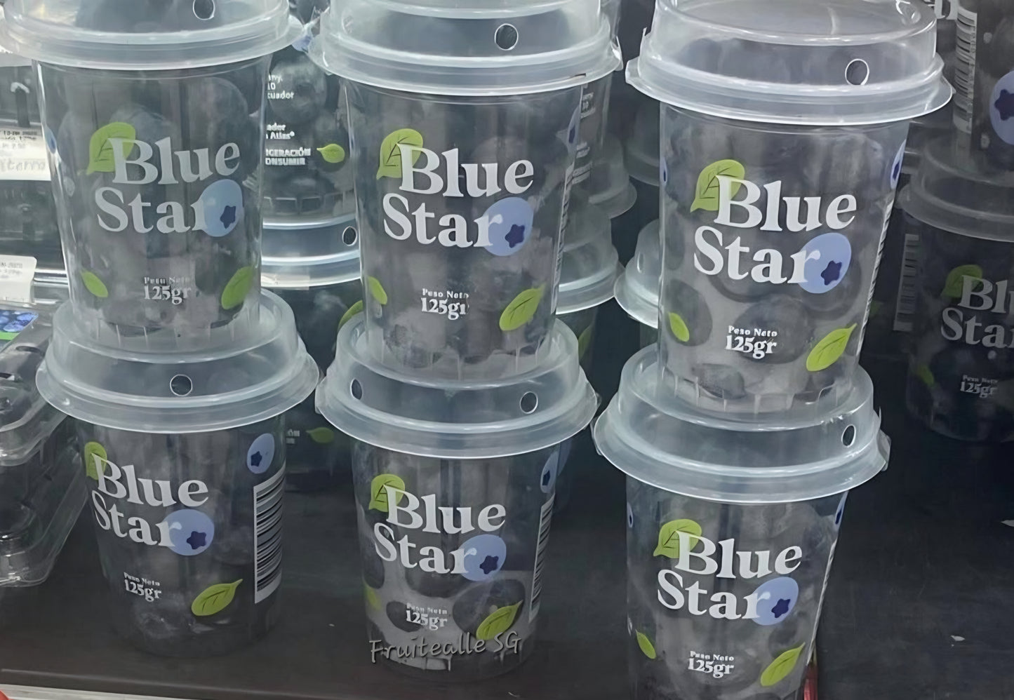 Blueberry - Ecuador Sweet Blueberries 125gm | Blue Star Farm