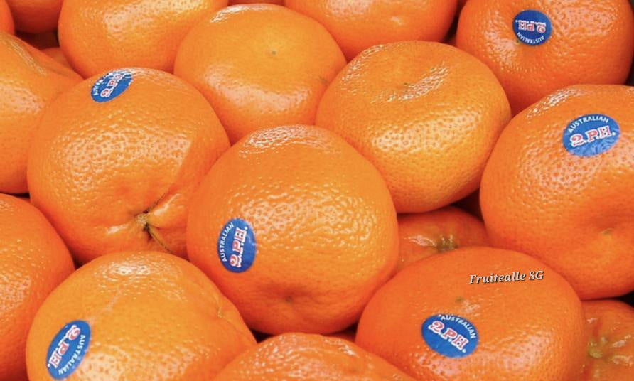 Oranges - Honey Murcott Mandarin Oranges (2PH Farms)