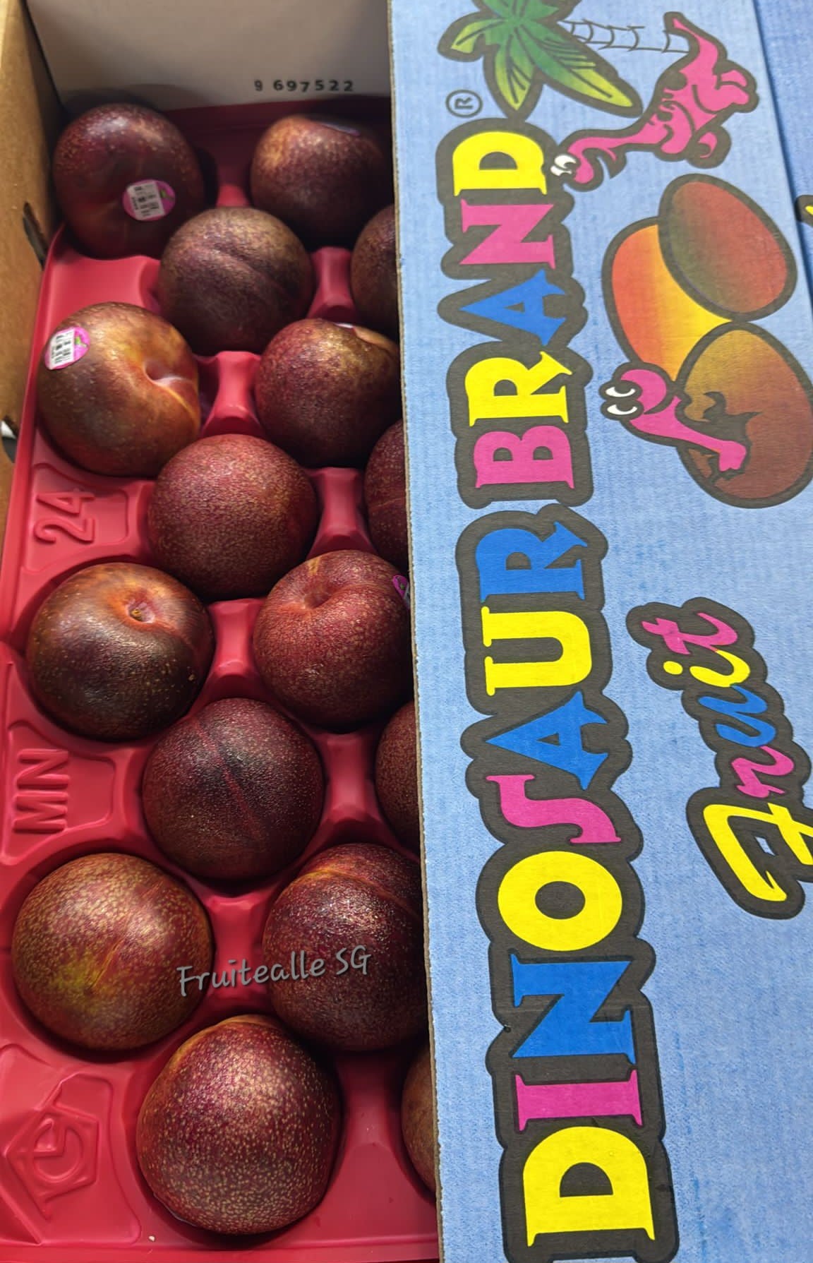Plum - USA Red Plumcot | Dino Orchards 🦕