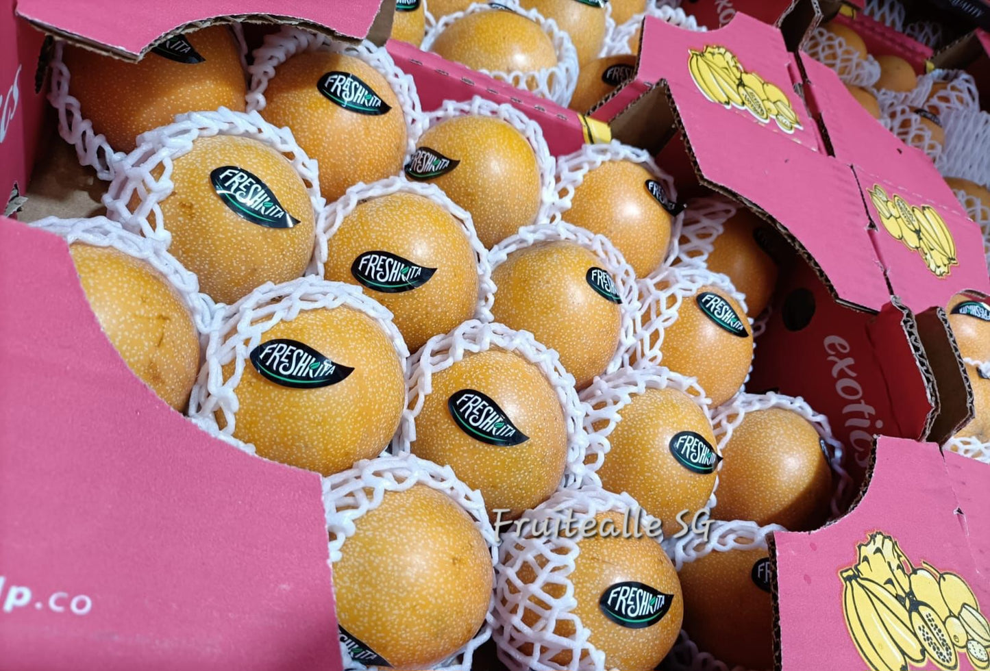 Passionfruit - Ecuador Yellow Passionfruit | Granadilla