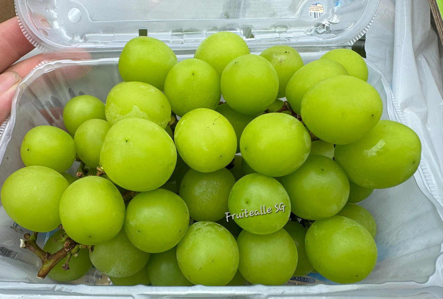 Grapes - Prestige Shine Muscat Seedless | 500gm