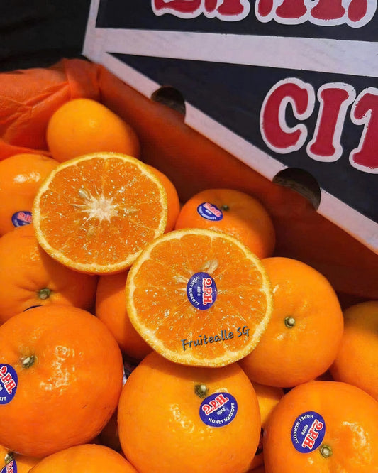 Oranges - Honey Murcott Oranges | 2PH Orchard