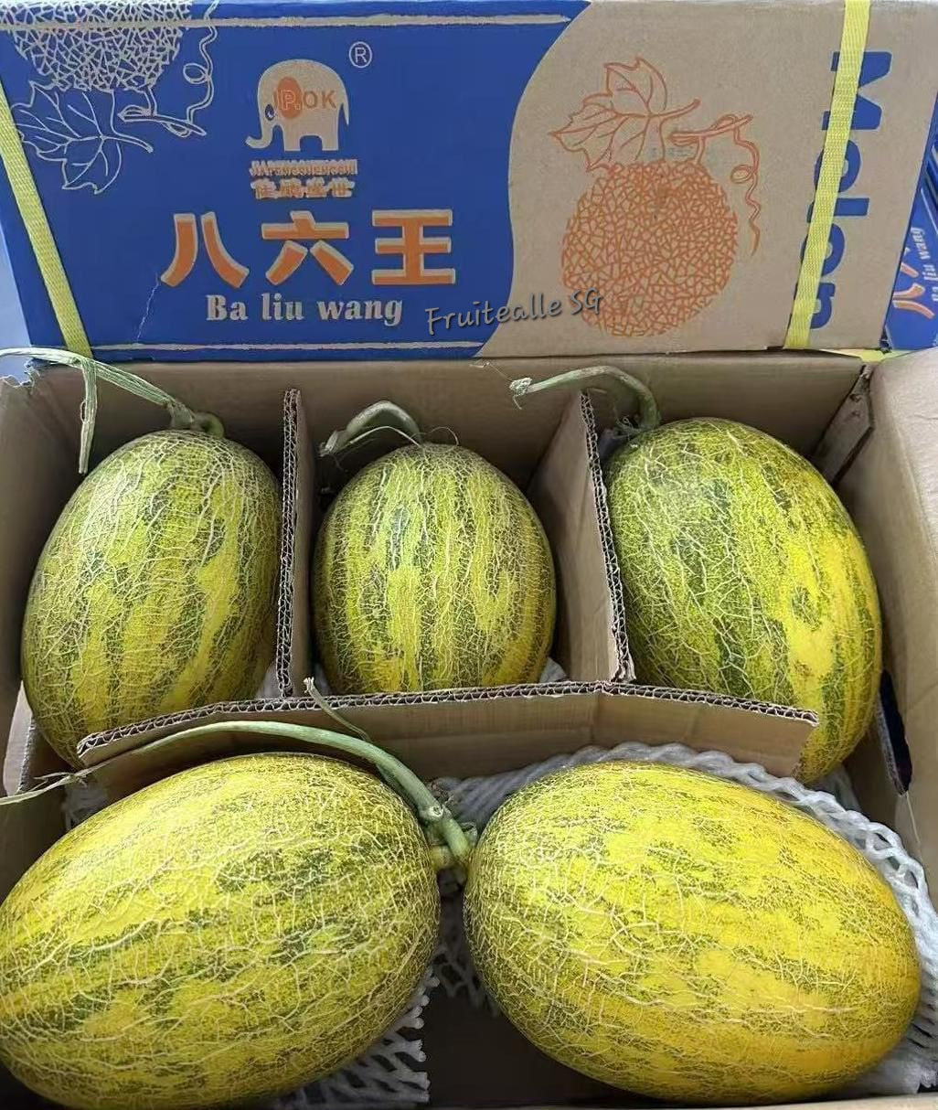 Melon - Hami Melon | Ba Liu Wang 八六王