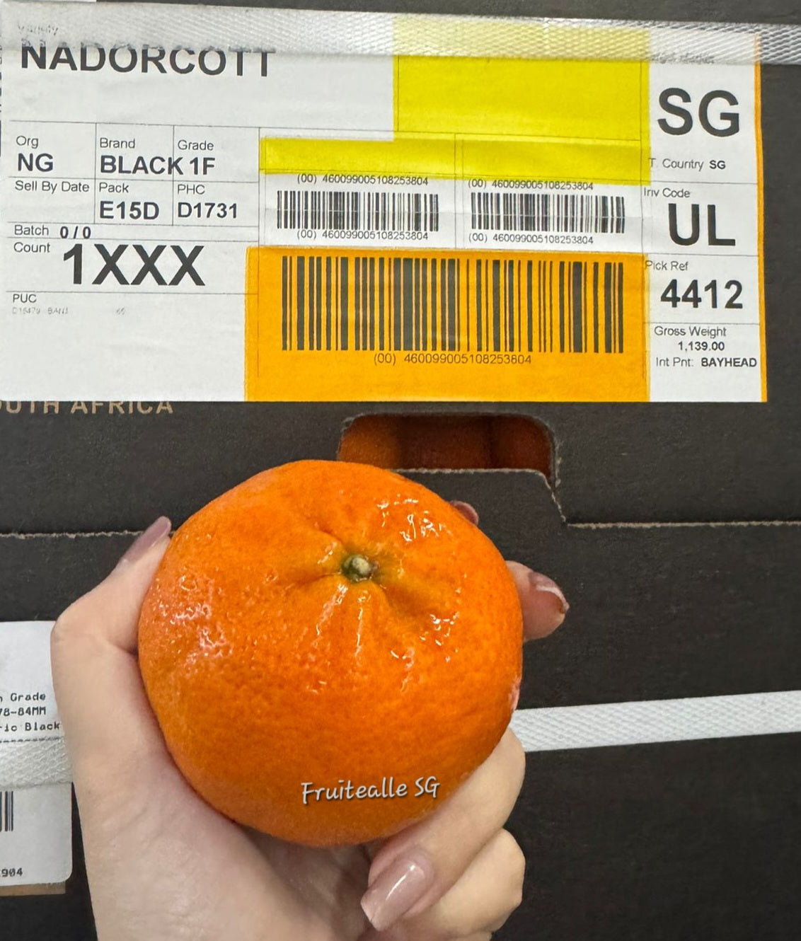 Orange - Nadorcott Sweet Mandarin