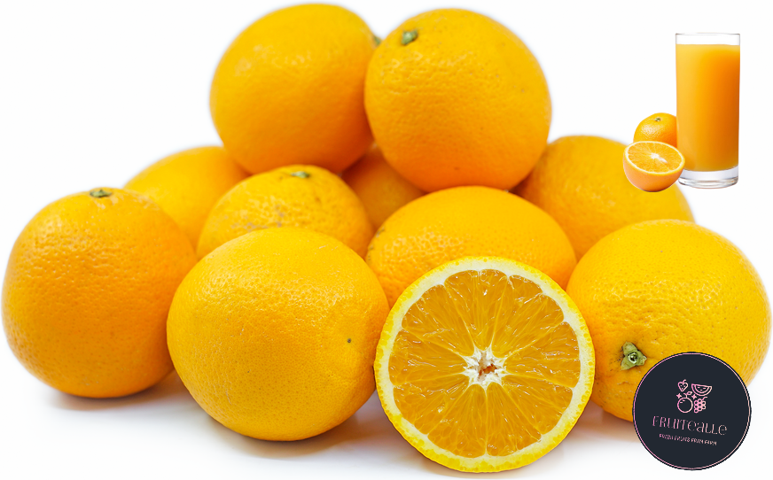 Oranges - Medium Size Sweet Valencia Oranges 水橙