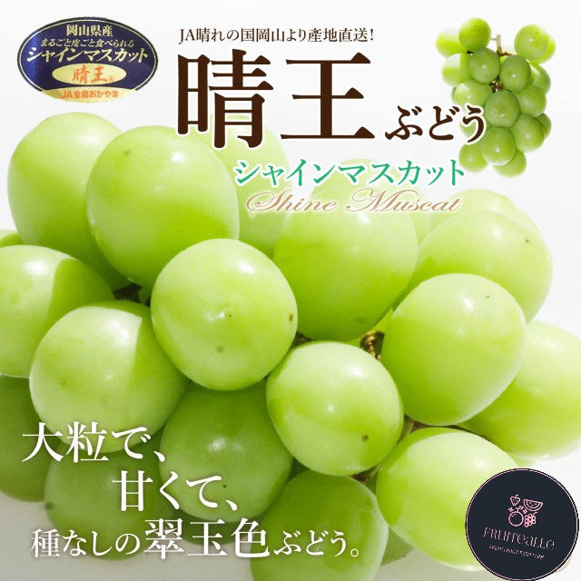Japan Grapes - Shine Muscat 岡山晴王
