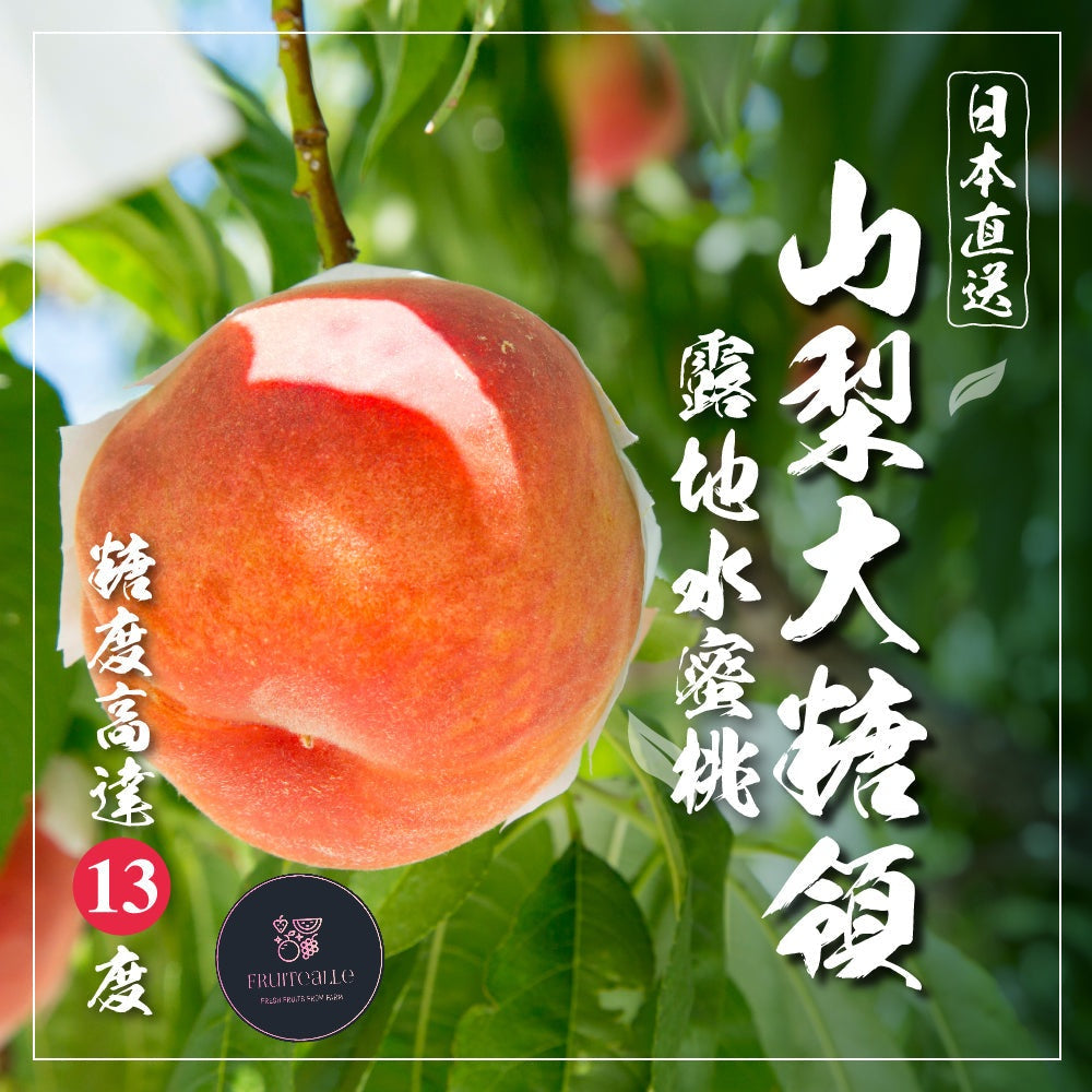 Japan Peach - DaTangLin【大糖嶺】露地桃 | 化粧箱 Yamanashi 山梨