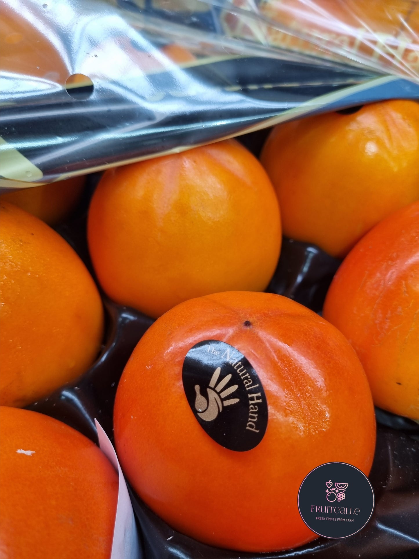 Persimmon - Spain Kaki Persimmon