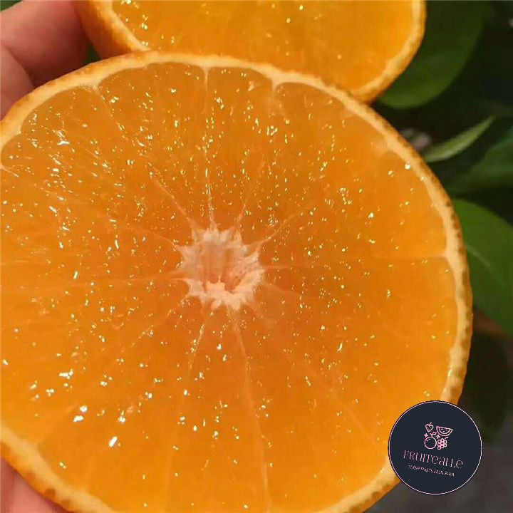 Oranges - Red Beauty Jelly Orange 红美人 Hong Mei Ren