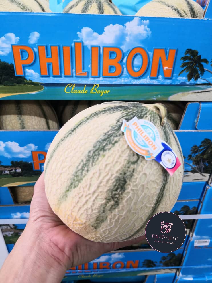 Melon - France Philibon Melon
