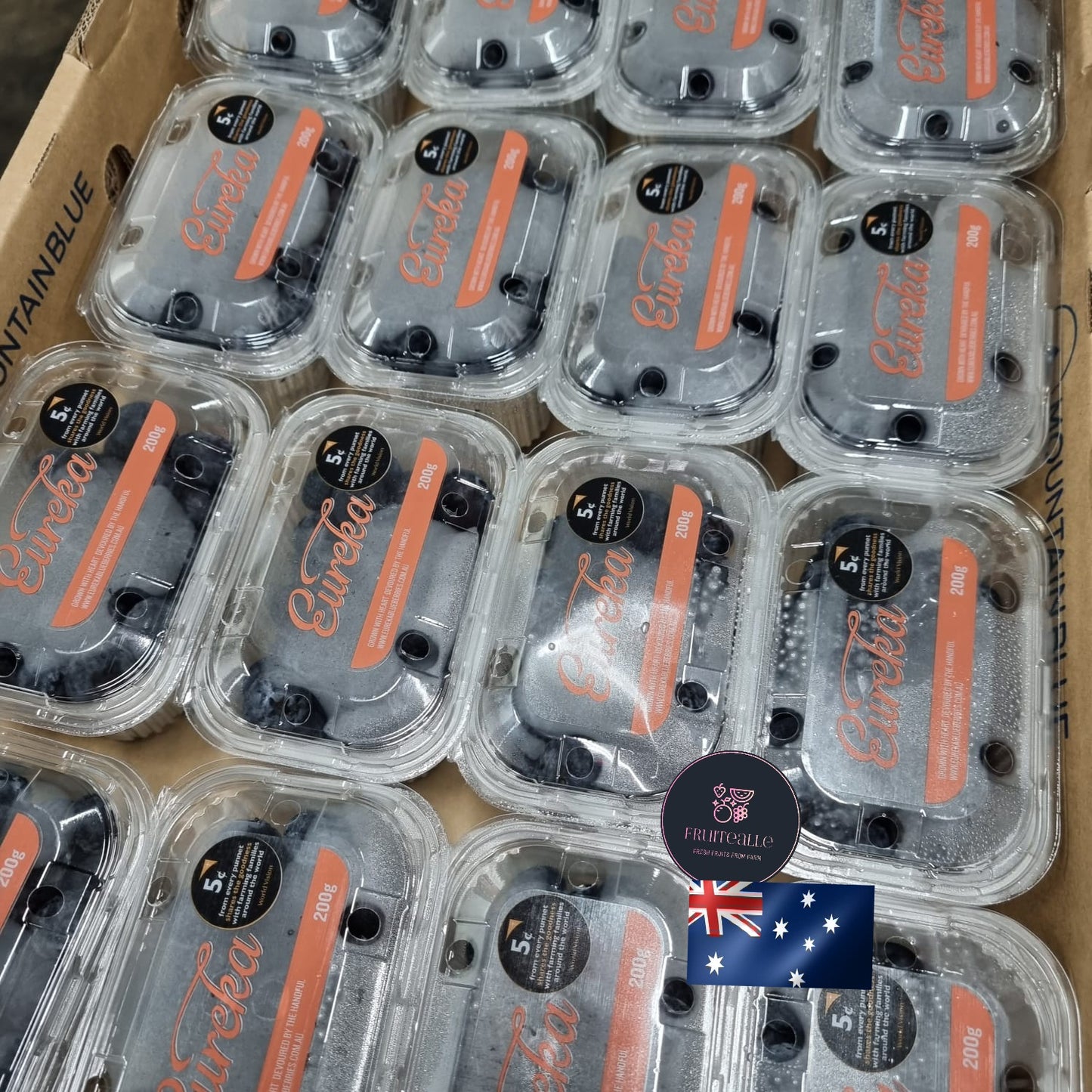 Blueberry - Eureka Sweet Blueberries 200gms