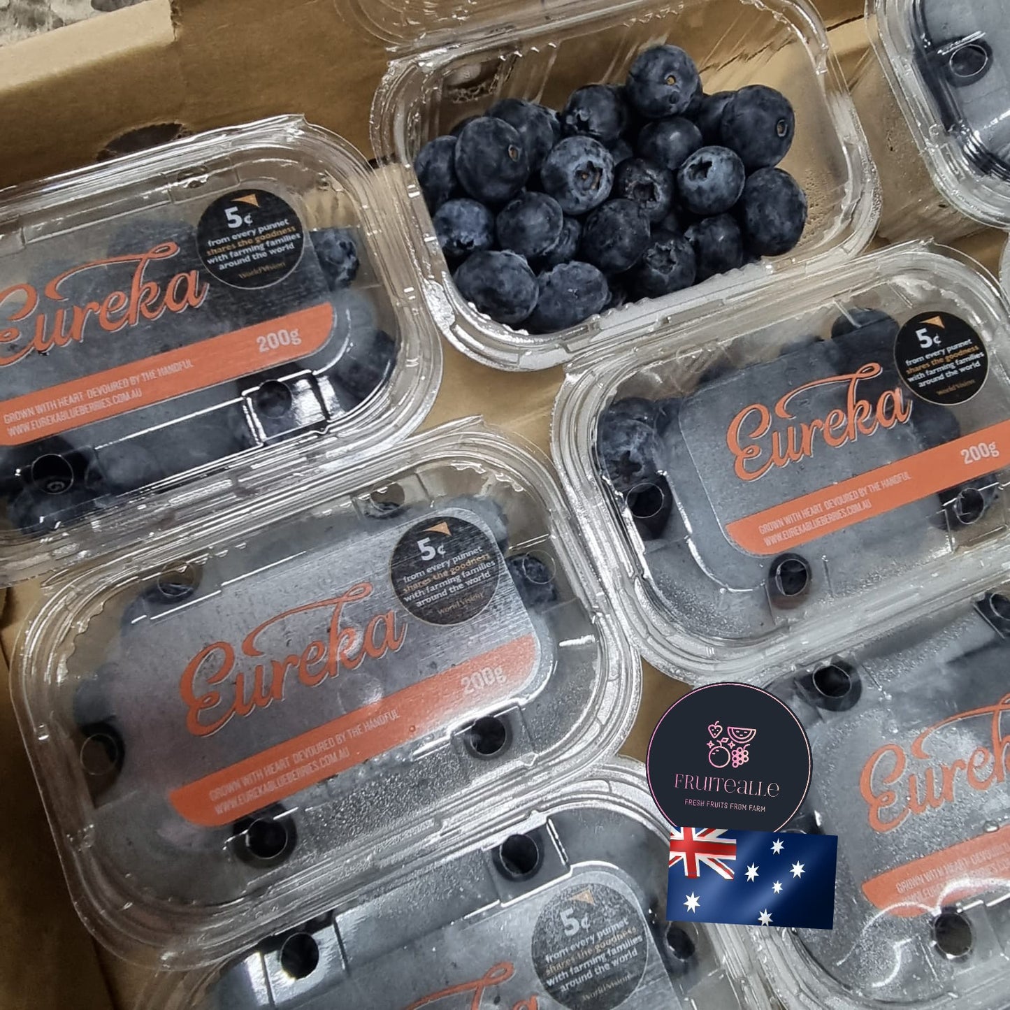 Blueberry - Eureka Sweet Blueberries 200gms