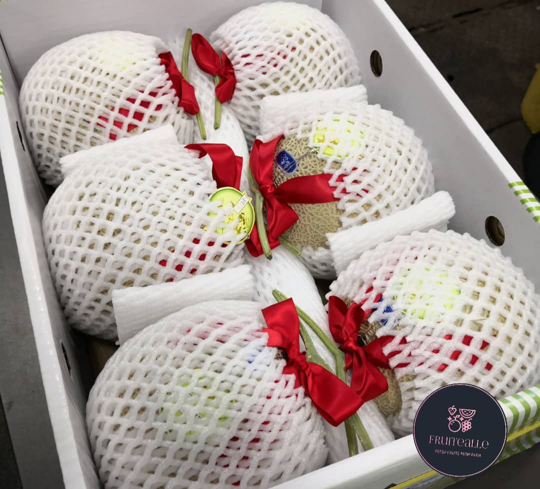 Melon - Japan Viet Fuji Musk Melon 富士マスクメロン