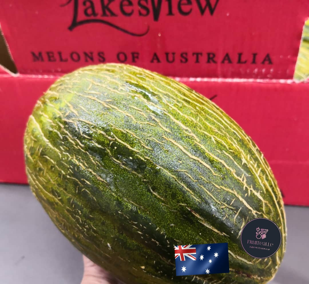 Melon - Australia Sapo Melon