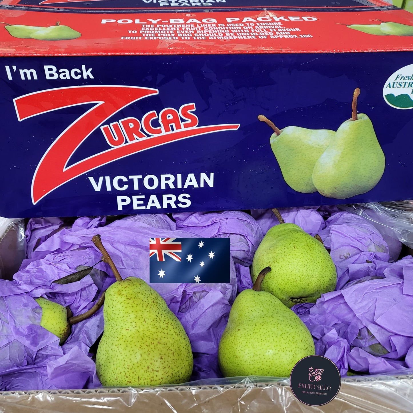 Pear - Packham's Triumph Pear