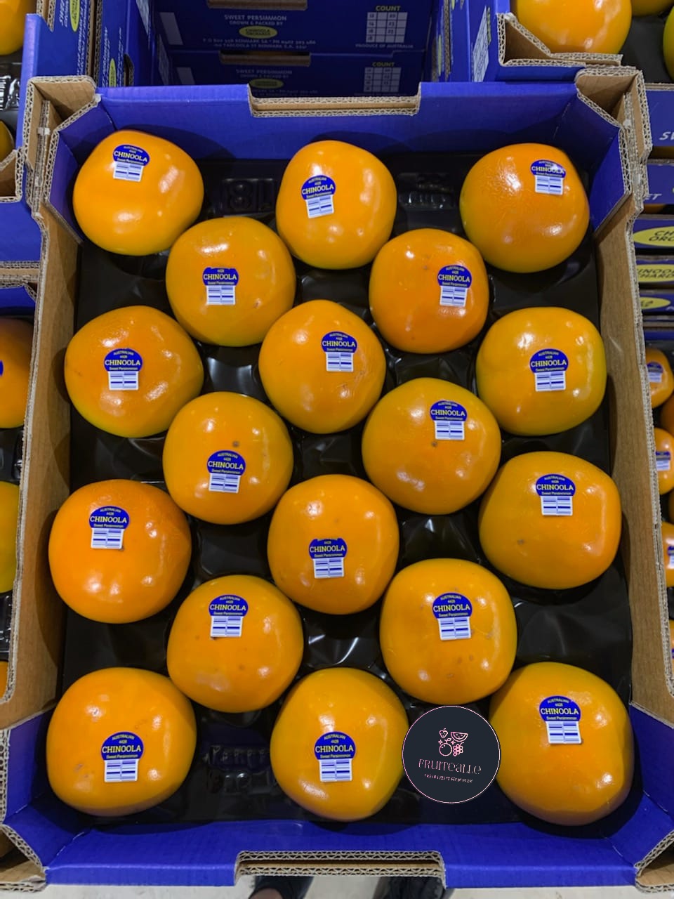 Persimmon - Australia Fresh Persimmon | Medium