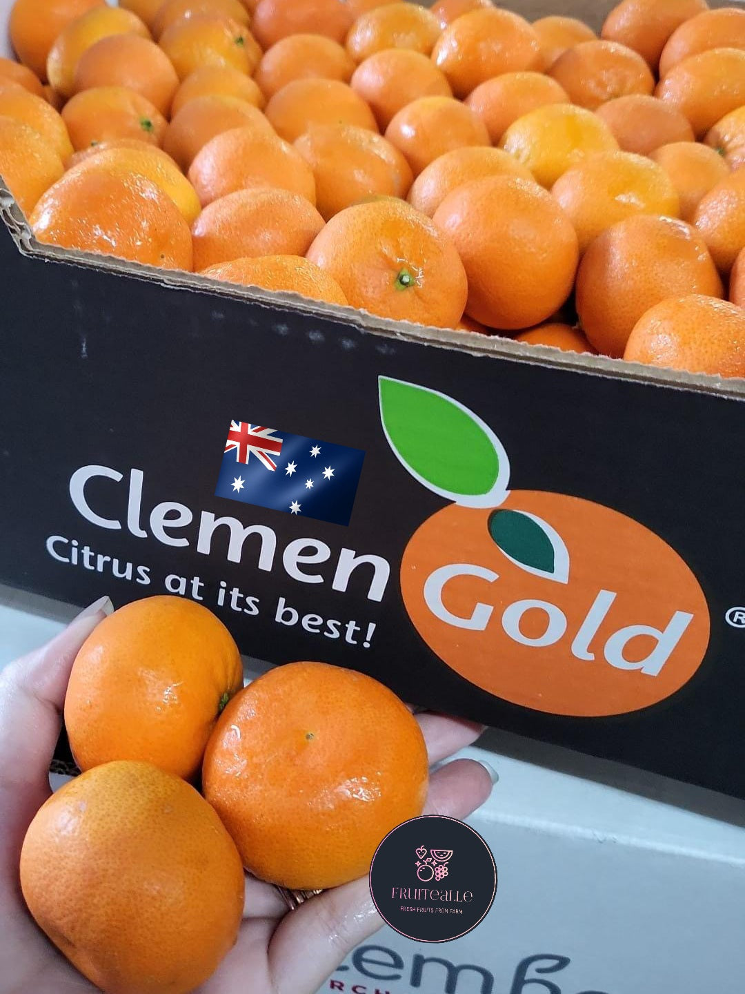 Oranges - Australia Tangerines
