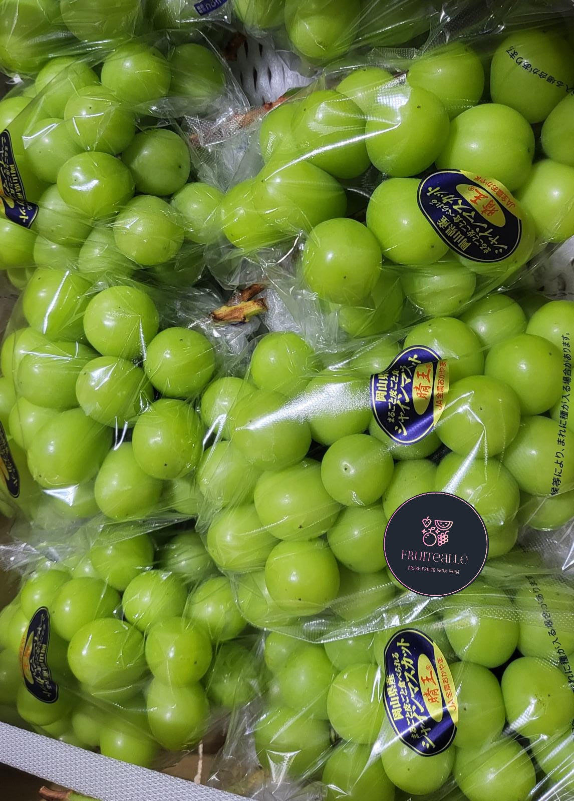 Japan Grapes - Shine Muscat 岡山晴王