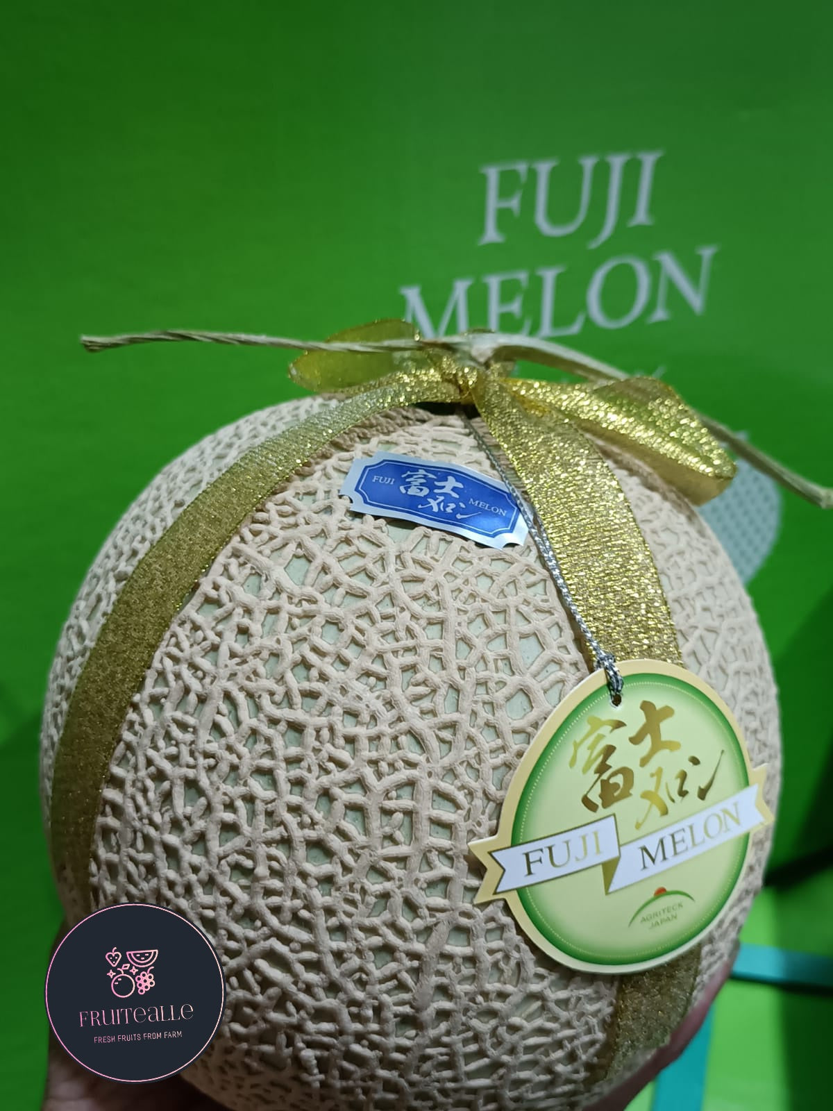 Melon - Japan Viet Fuji Musk Melon 富士マスクメロン