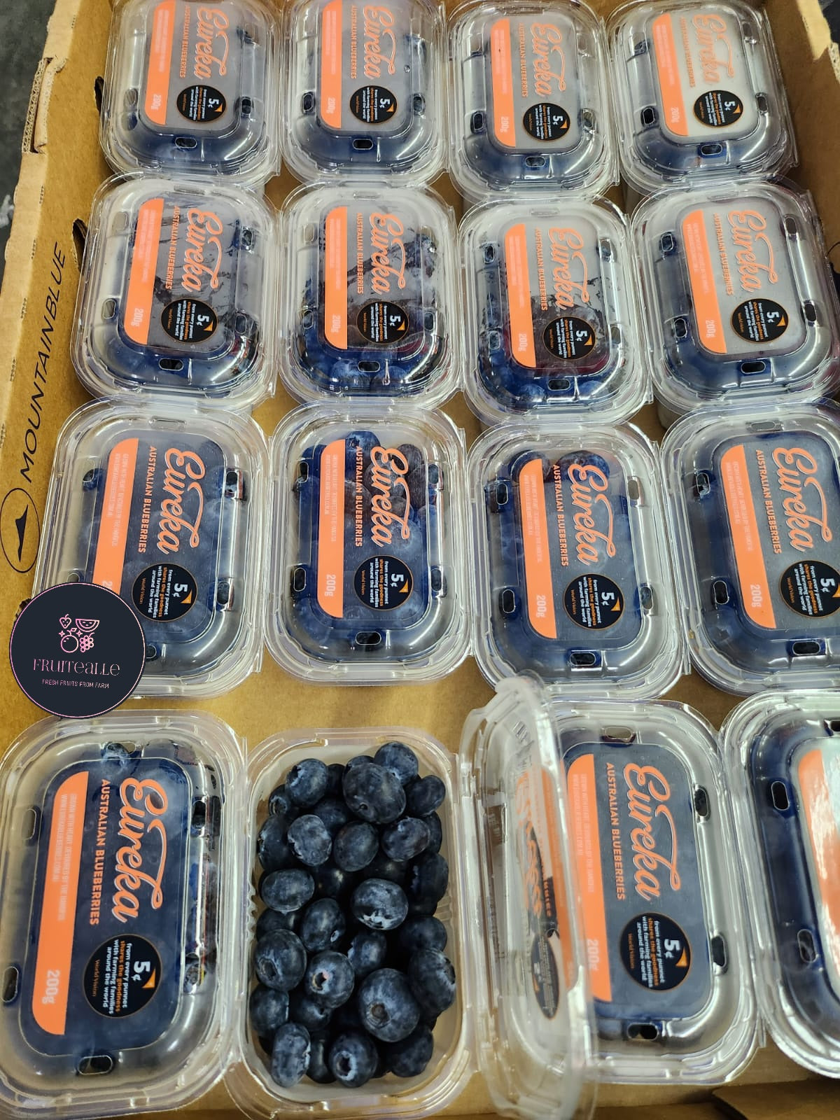 Blueberry - Eureka Sweet Blueberries 200gms