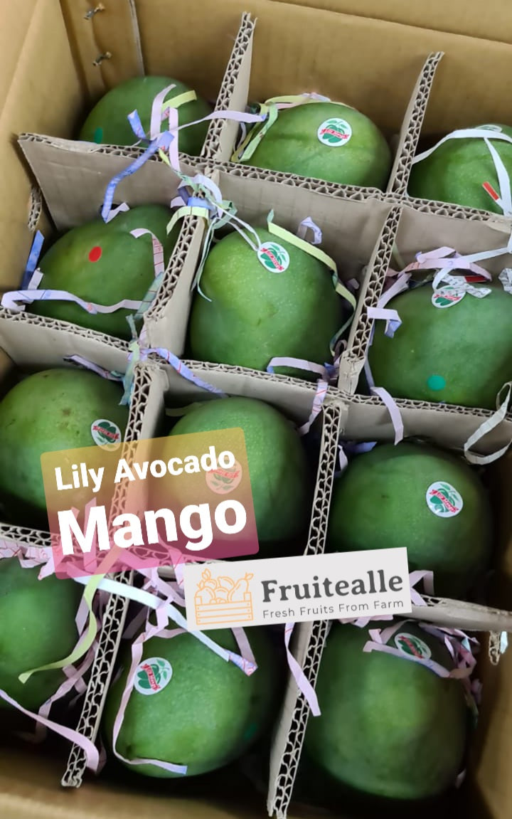 Mango - Lily Avocado Mango